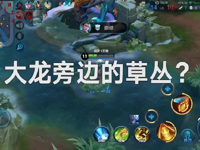 “我的朋友都被杀了！” 男子玩王者荣耀报假警被拘