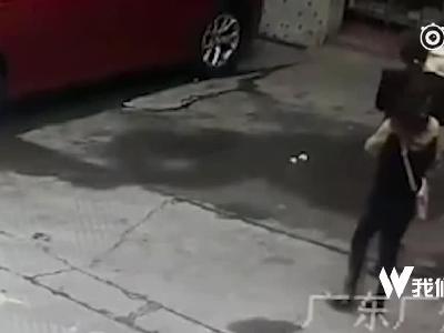 视频丨高空抛狗？女子路边走 被从天而降的狗子砸倒