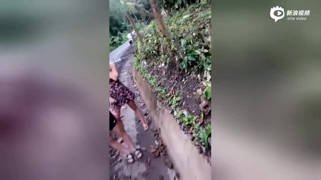 视频：树懒艰难过爬坡获路人帮助 转身挥手告别