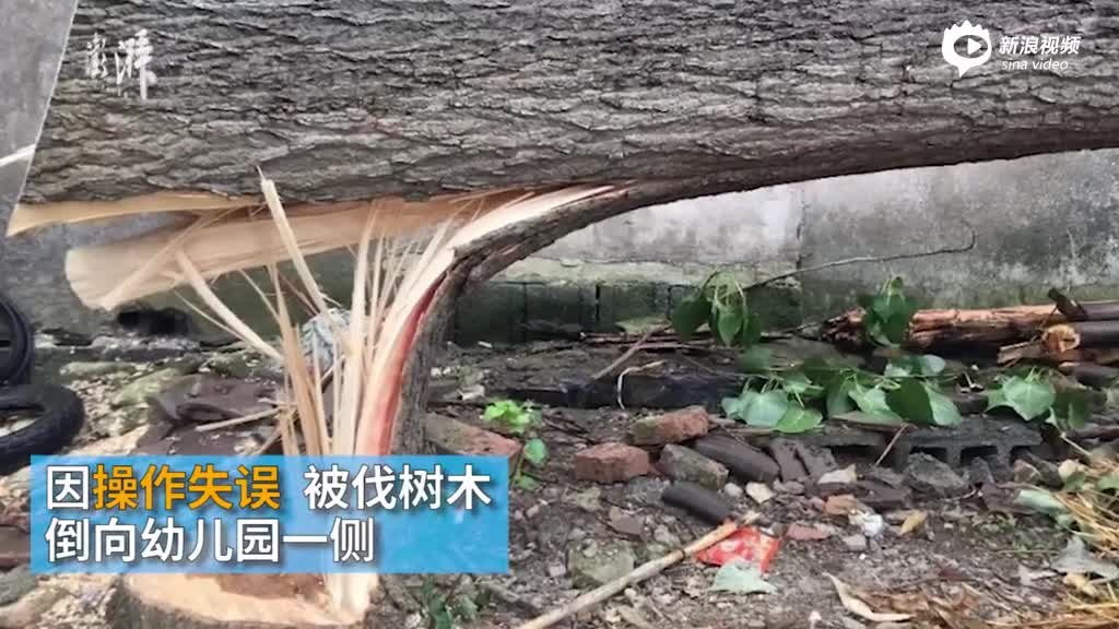 视频丨工人砍树致大树倒向幼儿园 1女童死亡