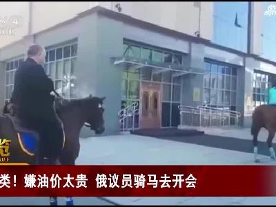 视频：俄罗斯议员骑马去开会 因嫌油价太贵