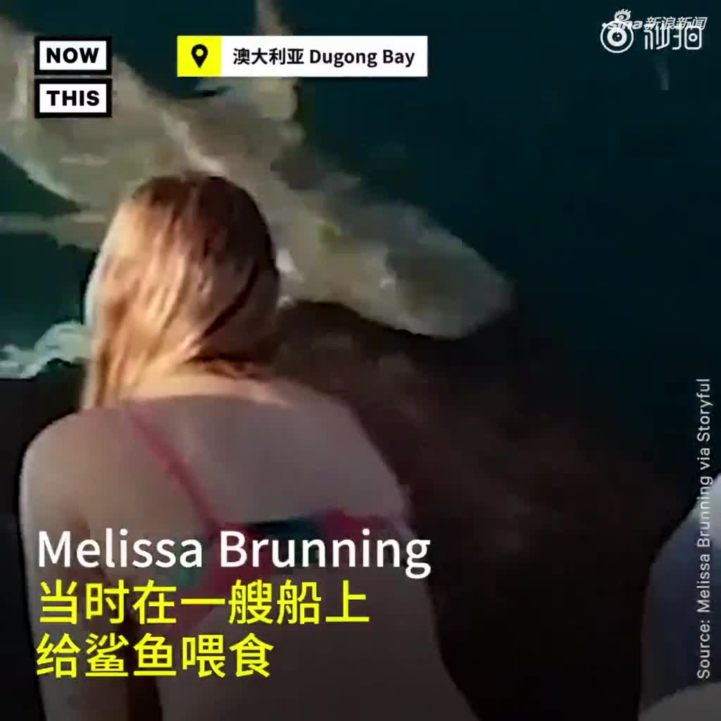 视频：女子徒手喂鲨鱼 一伸手就被猛咬拖下水