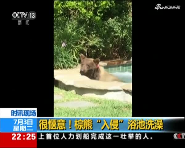 视频：美国熊闯入民宅浴池里惬意搓澡