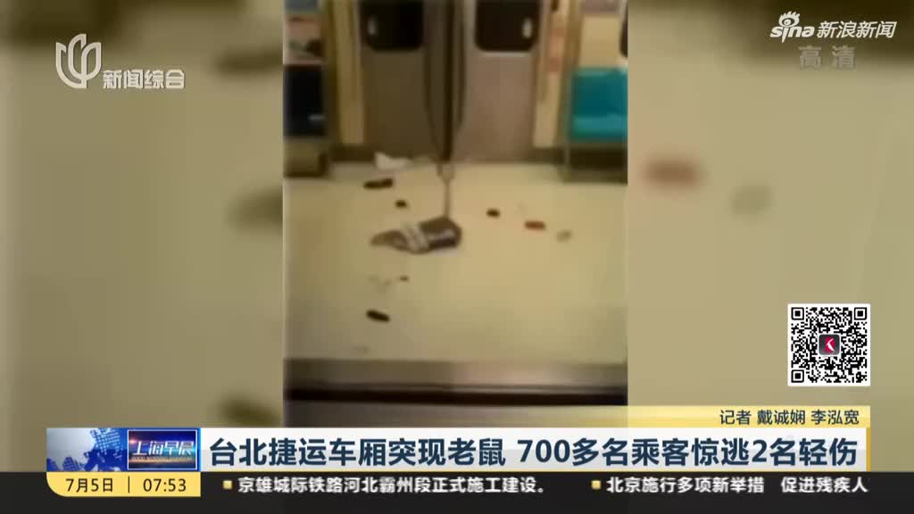 视频：台北捷运车厢突现老鼠引恐慌 700多名乘客