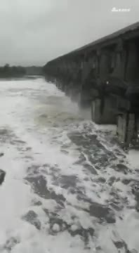 视频：触目惊心！印度水坝重污染 水面漂浮大量白色
