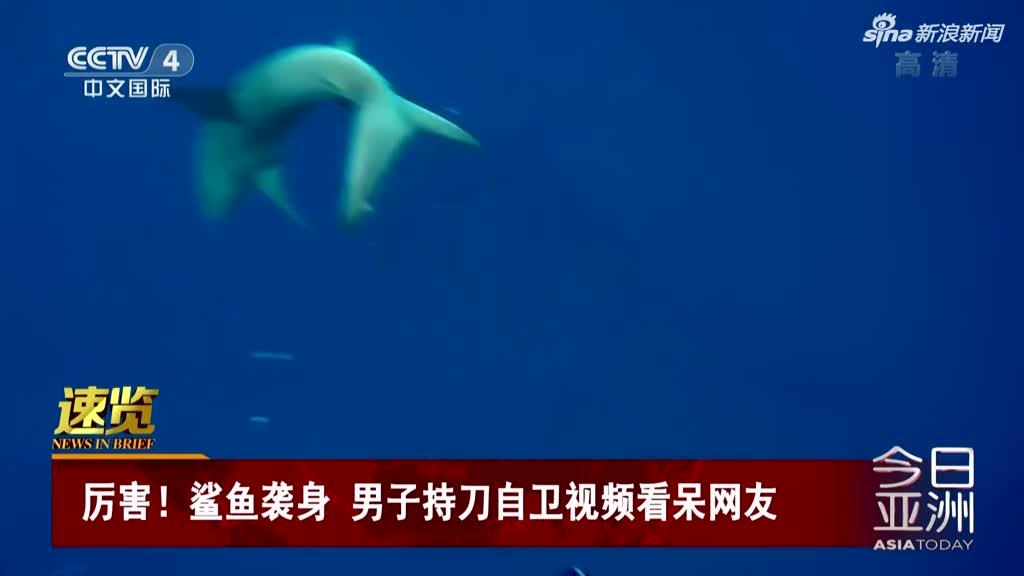 视频：宛如大片！海中捕鱼遇鲨鱼袭击 男子持短刀猛