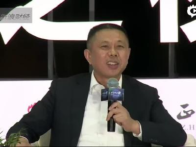 高纪凡：中国民营企业应该加快“走出去”步伐