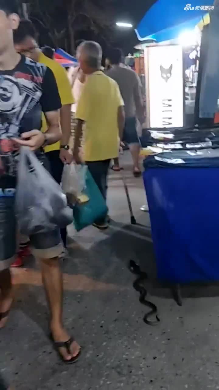 视频：泰国大叔夜市“遛蛇” 路人纷纷被吓到