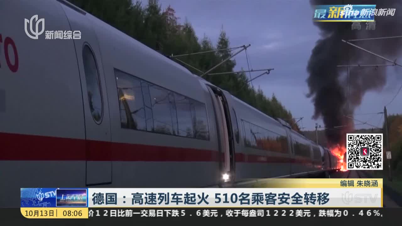 视频：德国高速列车起火  510名乘客安全转移