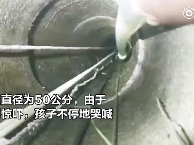 人口倒挂是什么意思_倒挂金钩是什么姿势(3)