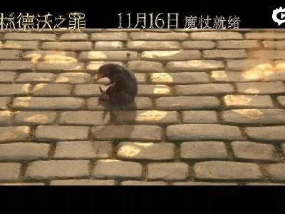 涯ֵ֮ӰƬ