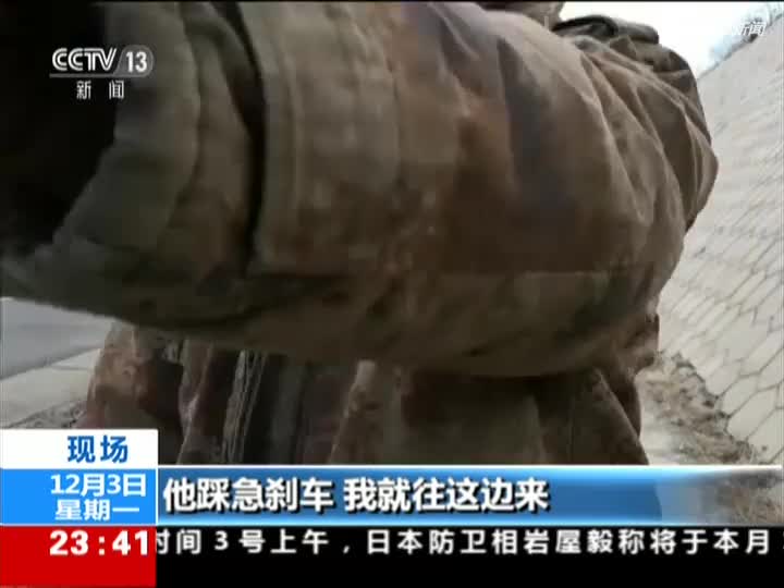 视频：货车下坡踩急刹 9头毛驴不慎坠下车