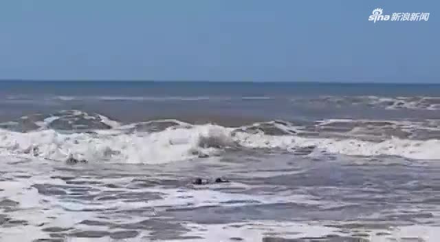 视频-绝处逢生！3名溺水女孩被阿根廷渔民用钓鱼竿