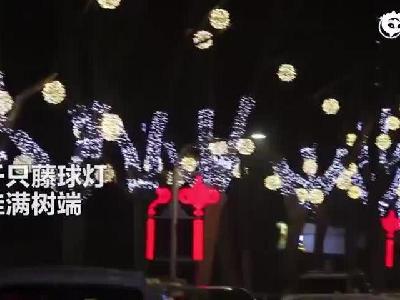 郑州这条街挂满“月球灯”超浪漫 提前感受到了年味