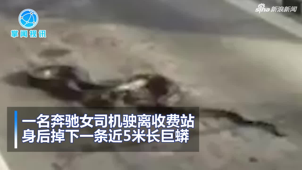 视频：惊悚！女子开车刚过收费站 身后掉下5米长巨
