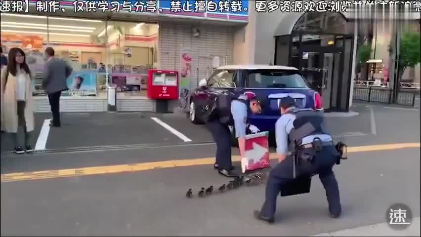 警察弯腰举牌细心引导鸭子一家过马路画面萌翻网友