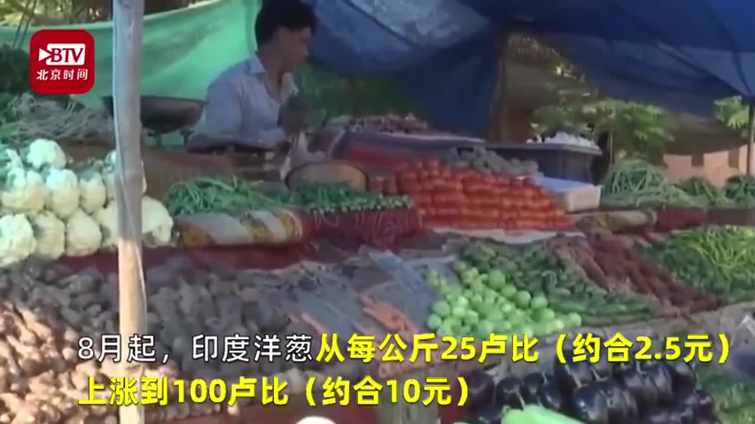 视频-印度洋葱价格涨100倍：咖喱危机 农民哭泣