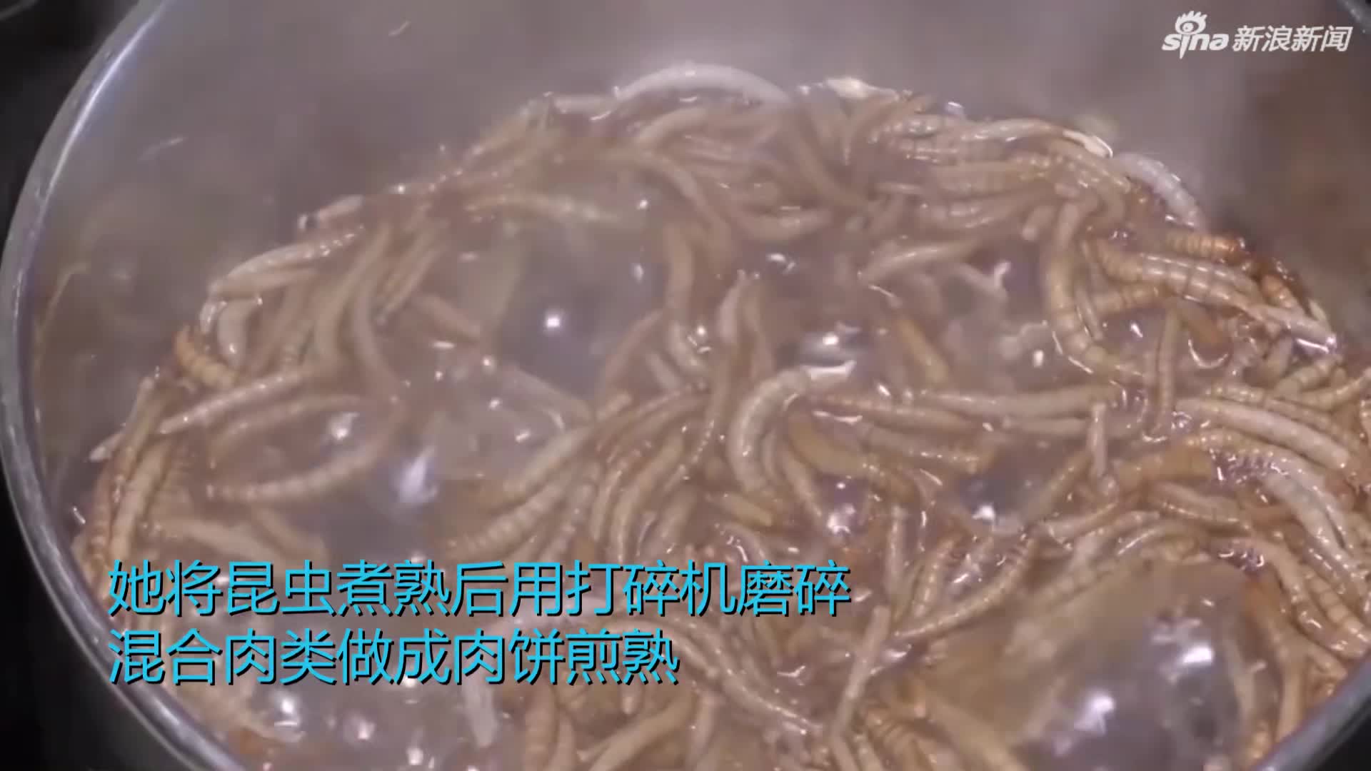 视频-国外推出昆虫汉堡 你敢吃吗