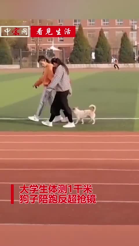 视频-大学生体测1千米 狗狗陪跑冲刺反超抢镜