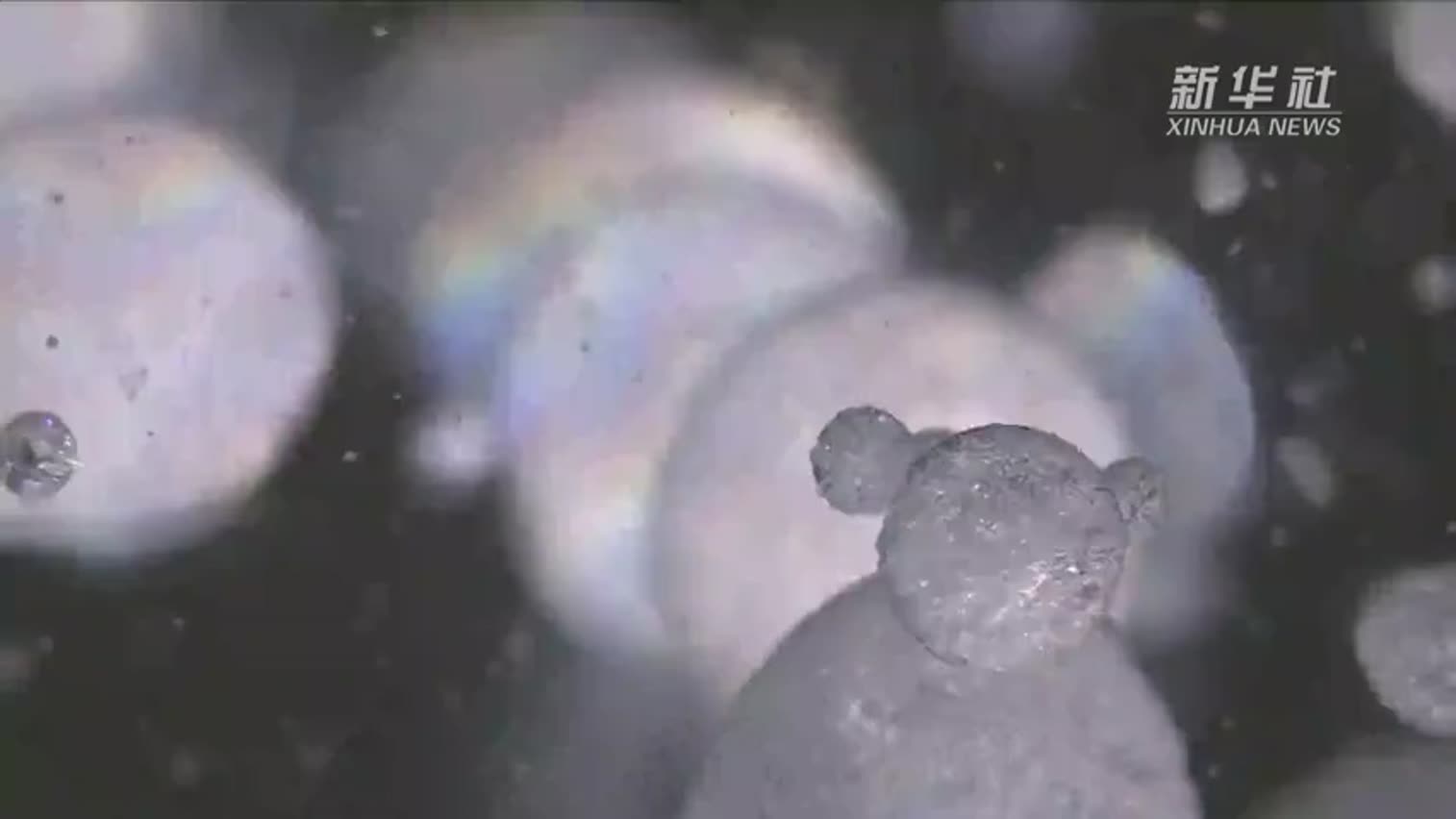 视频：神奇！黑龙江漠河冰泡奇观 全球仅3个知名同