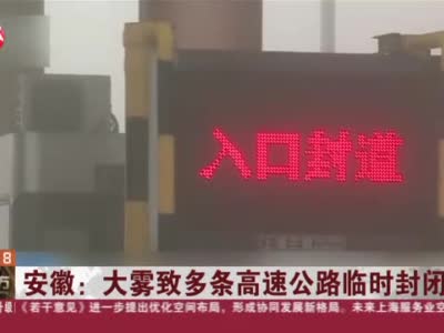 安徽：大雾致多条高速公路临时封闭