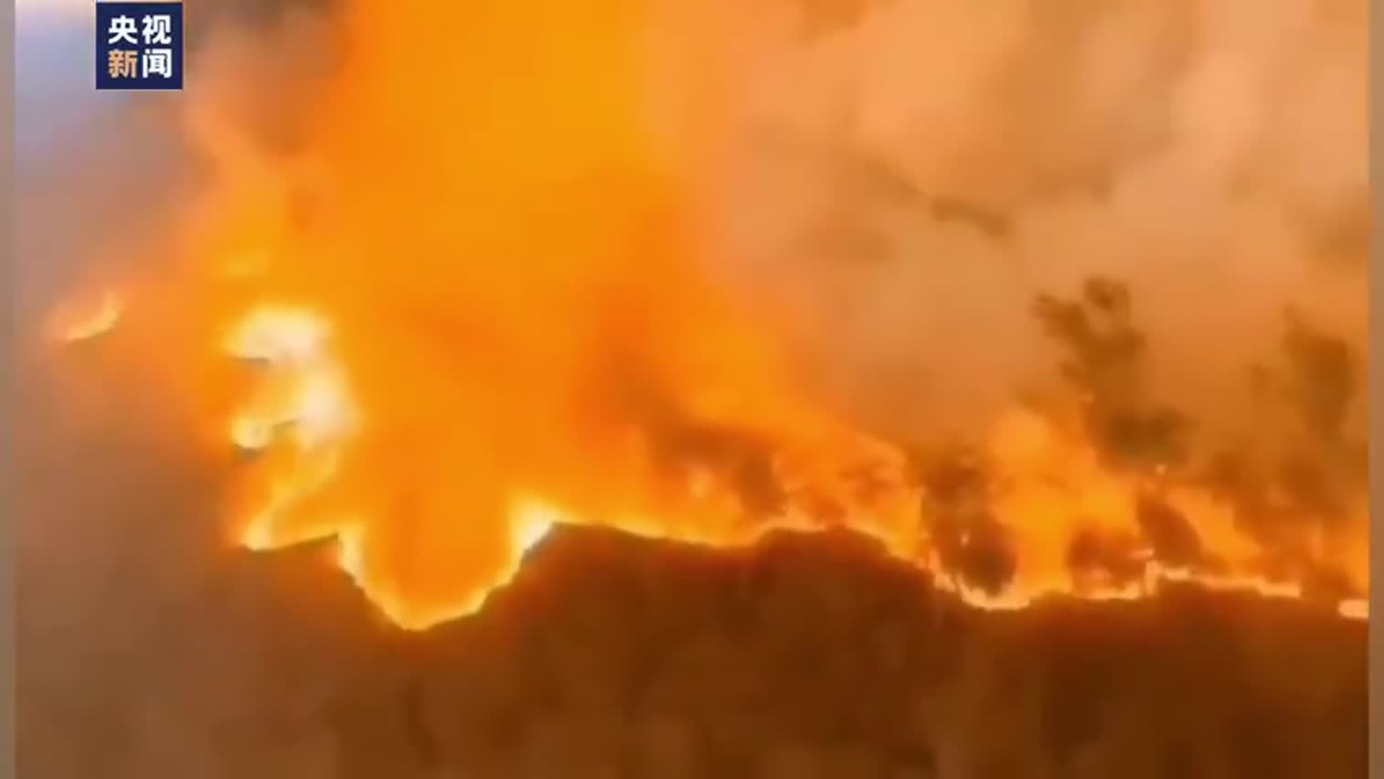 现场视频：广东佛山山火 上千人参与扑救