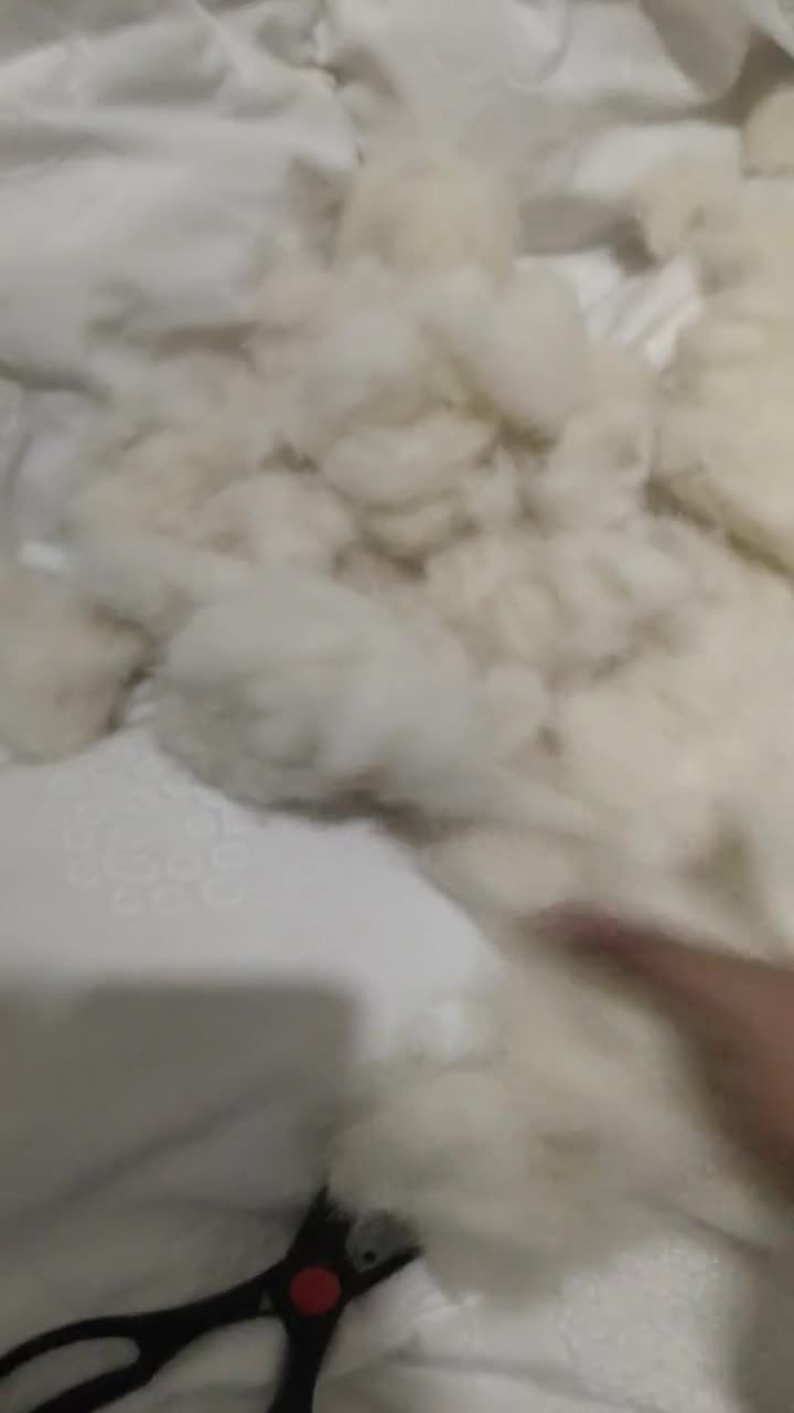 补充视频,这是我把被子剪开后的视频.棉花都不是好的,发黑.