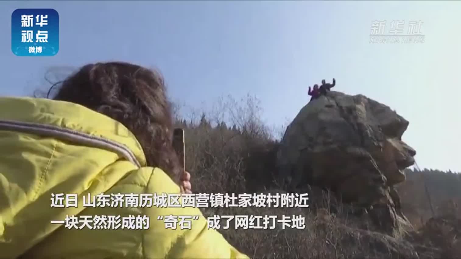 视频-中国版狮身人面像？ 山东一网红奇石侧颜神似