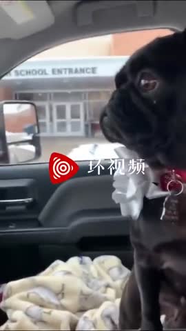 视频：惊喜！14岁少年与走失的爱犬重逢 泪流满面