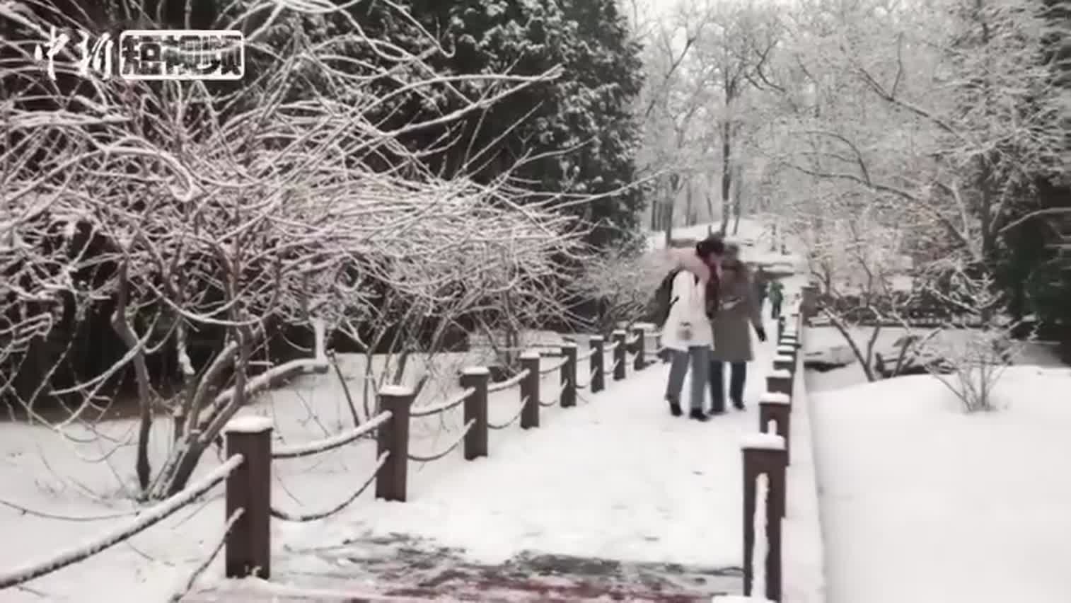 视频-圆明园雪景如画 游客：一夜回到千年前
