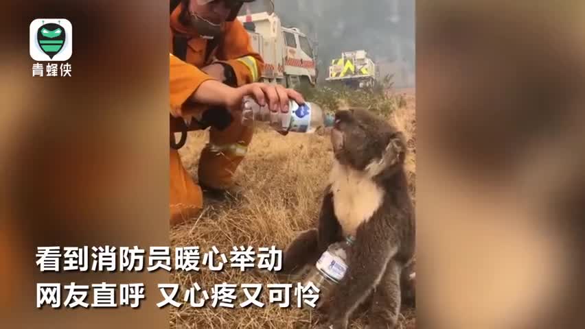 视频-暖心！澳大利亚山火持续肆虐 消防员给干渴的