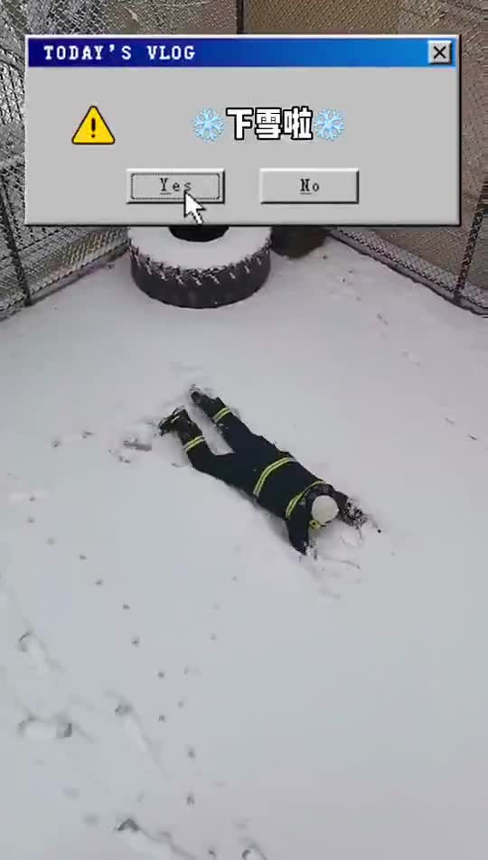 视频|南方消防员第一次见雪：疯狂躺地摩擦！