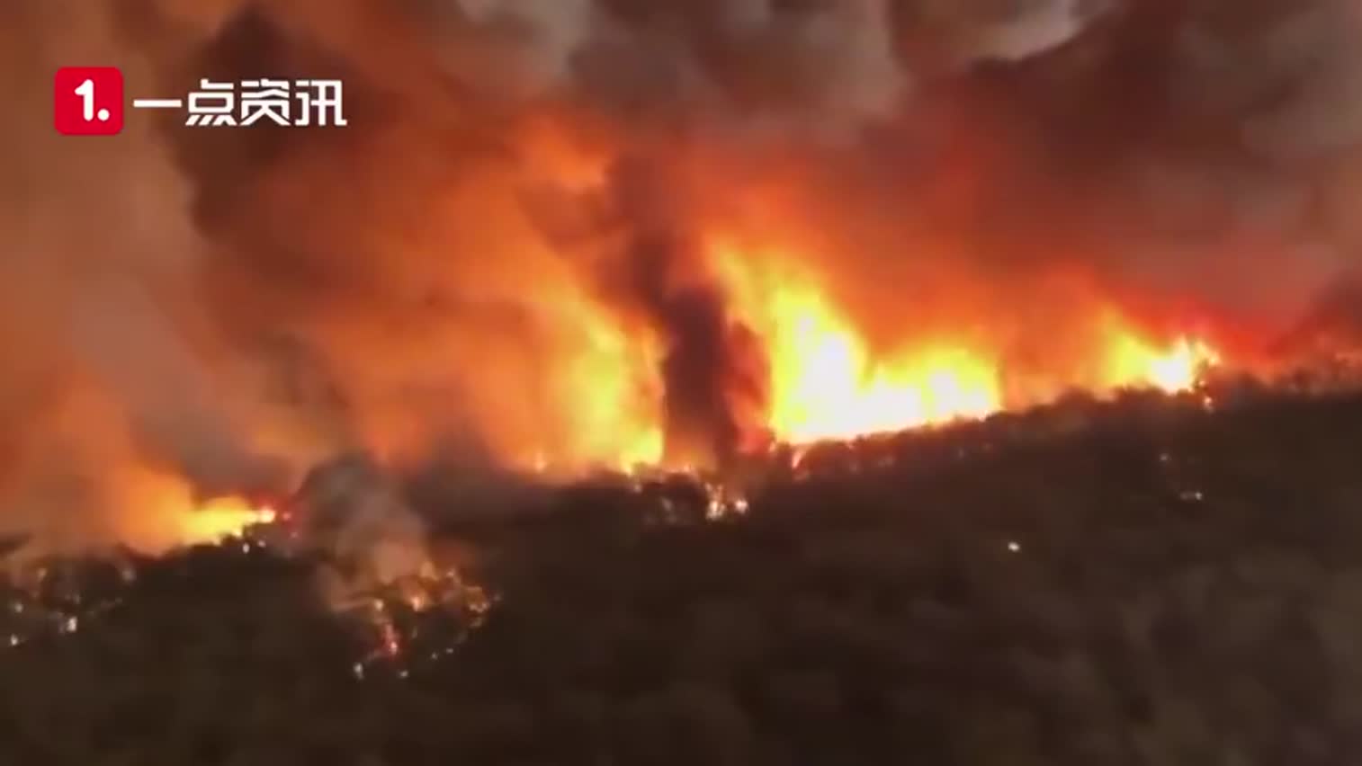 视频-澳大利亚林火不仅仅是天灾？180人涉嫌纵火