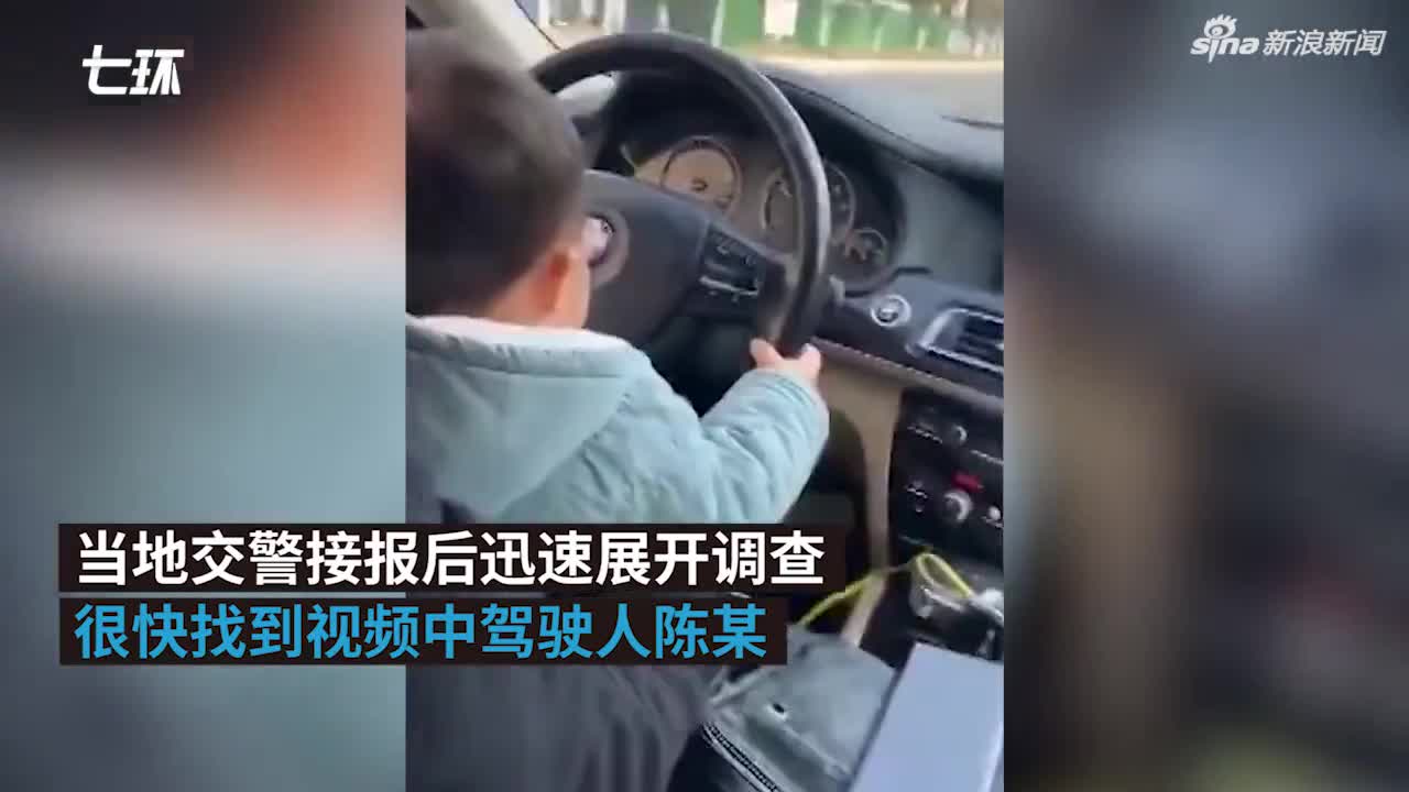 视频-最小驾驶员？父亲教2岁娃学开车被罚