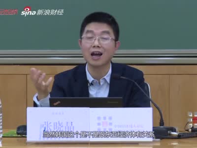 出社会以后-挂机方案张晓晶：国家资产负债表与供给侧布局性改革挂机论坛(1)