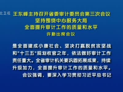 王东峰主持召开省委审计委员会第三次会议