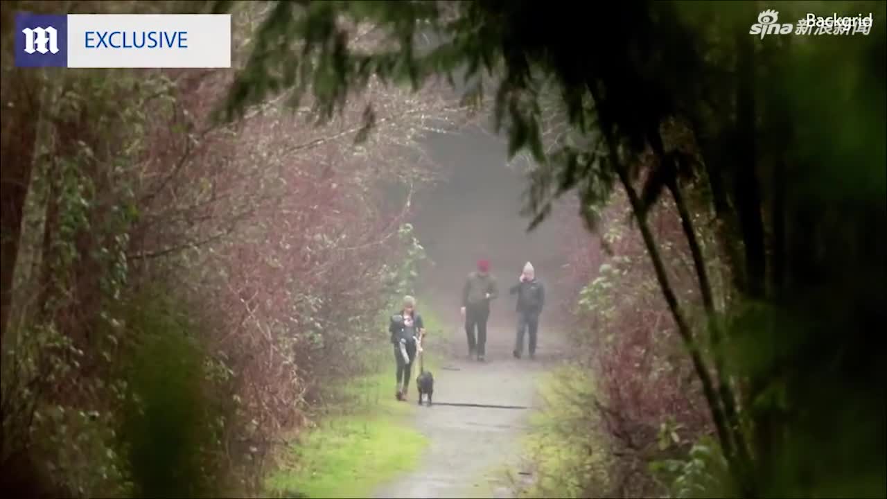 视频-梅根抱着儿子在树林散步 不受风波影响满面笑