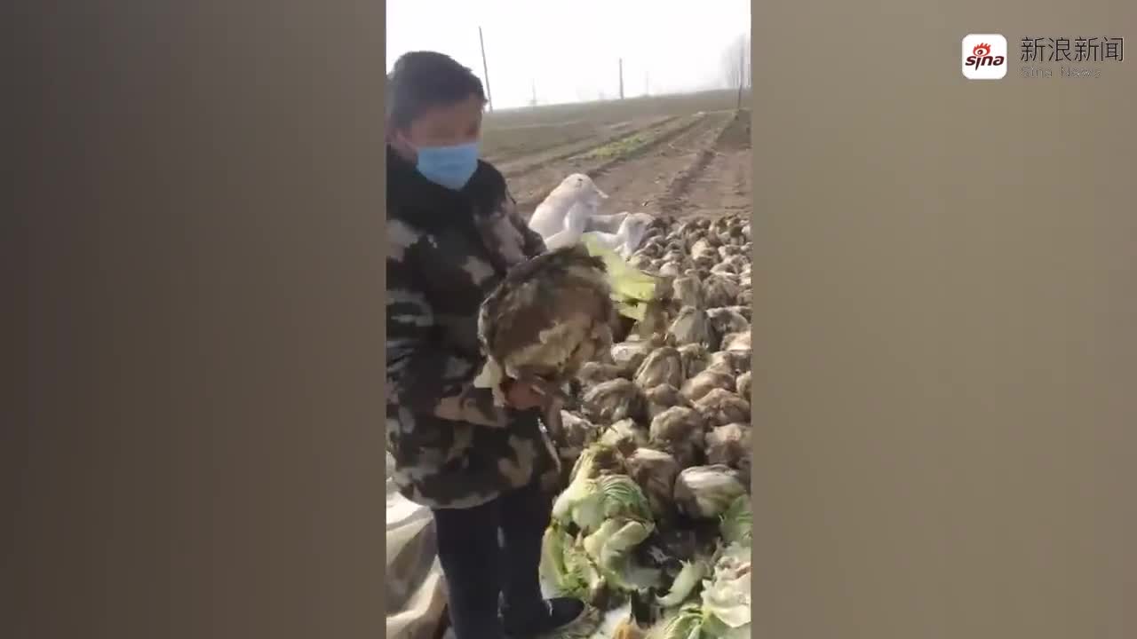 视频-河南农民：我没啥能力 想捐给湖北武汉200