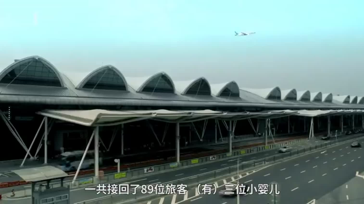 视频-回国包机上 武汉空姐家乡话播报鼓士气
