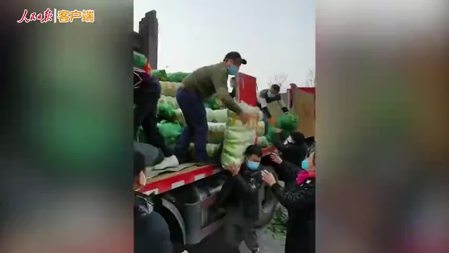 视频-汶川村民自发支援武汉100吨蔬菜 驾车36