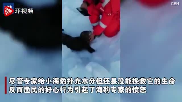 视频-俄罗斯渔民好心救援海豹宝宝 专家愤怒：保持