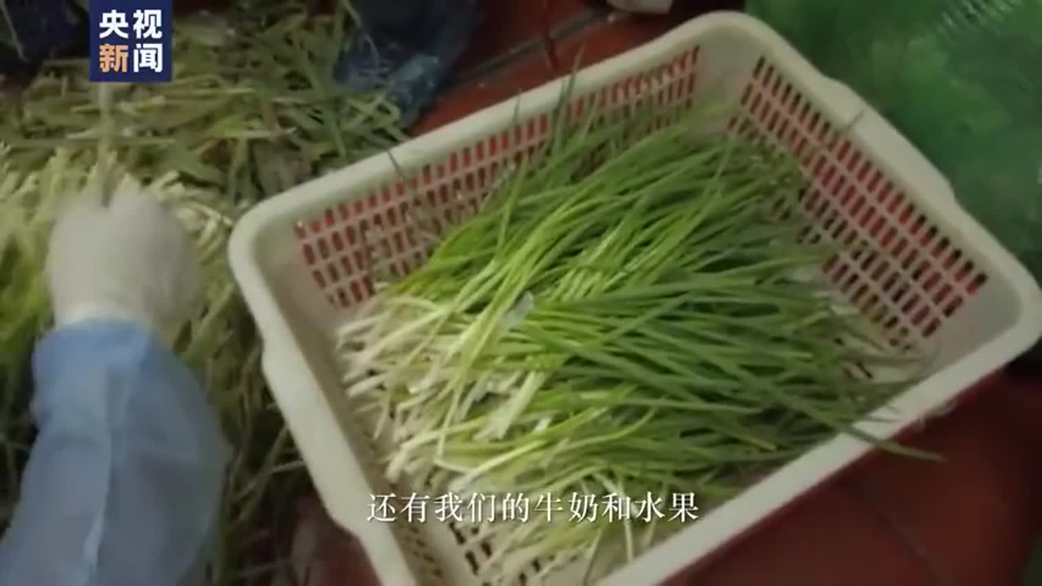 视频|记者带你看武汉方舱医院的盒饭