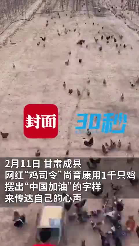 视频-乡村青年率千只鸡走位中国加油 捐3000枚