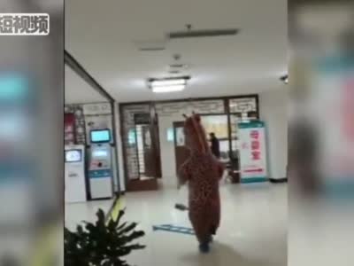 四川一女士穿“长颈鹿”充气服到医院 专家提醒可能防不了病毒