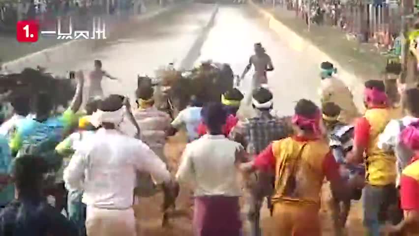 视频-印度赶牛大赛中 男子百米速度超博尔特