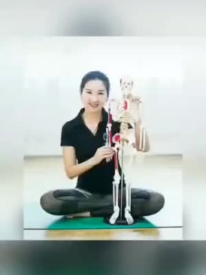黑龙江省瑜伽协会老师带你利用碎片时间运动一
