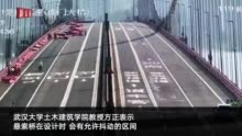 东莞虎门大桥发生波浪形抖动，专家解释抖动原因|虎门大桥