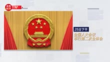 特殊时期的全国两会,诞生了这些新变化(含视频)