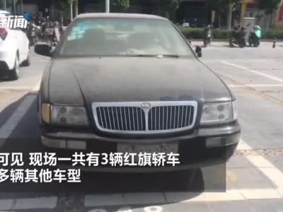 郑州某广场惊现一排僵尸车 车牌都是“豹子号”！