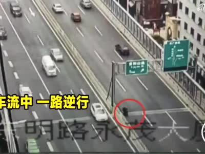 老人骑三轮误上高架，郑州交警铁骑排成“品”字护送下桥